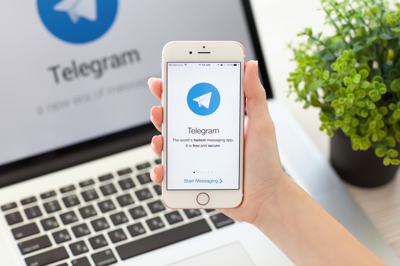 Санаторий «Приднепровский» теперь и в Telegram!